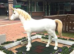 유니콘이 된 에이원 의 사진